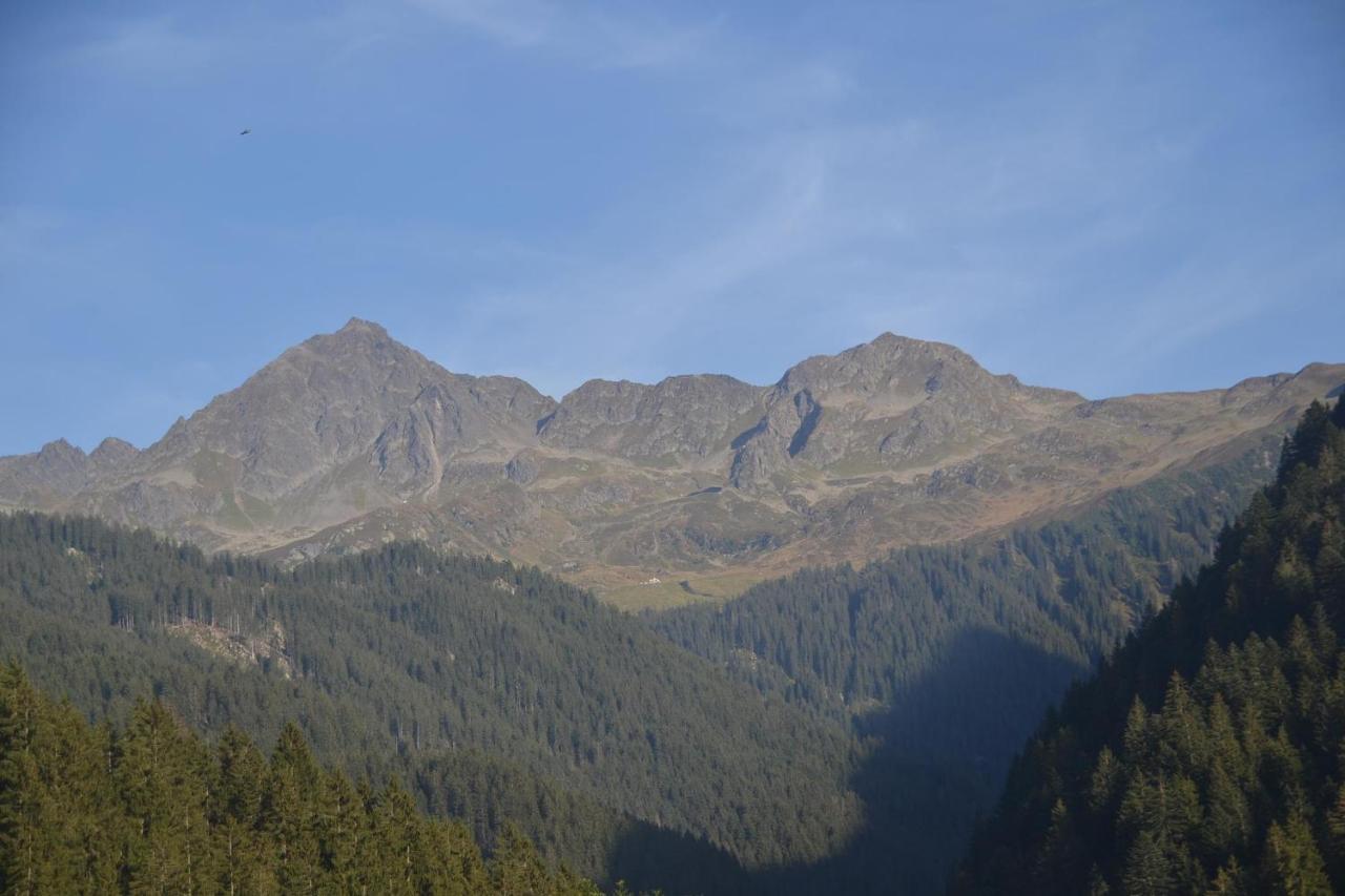 Gaestehaus Fitsch - Ferienwohnung In Silbertal Dış mekan fotoğraf